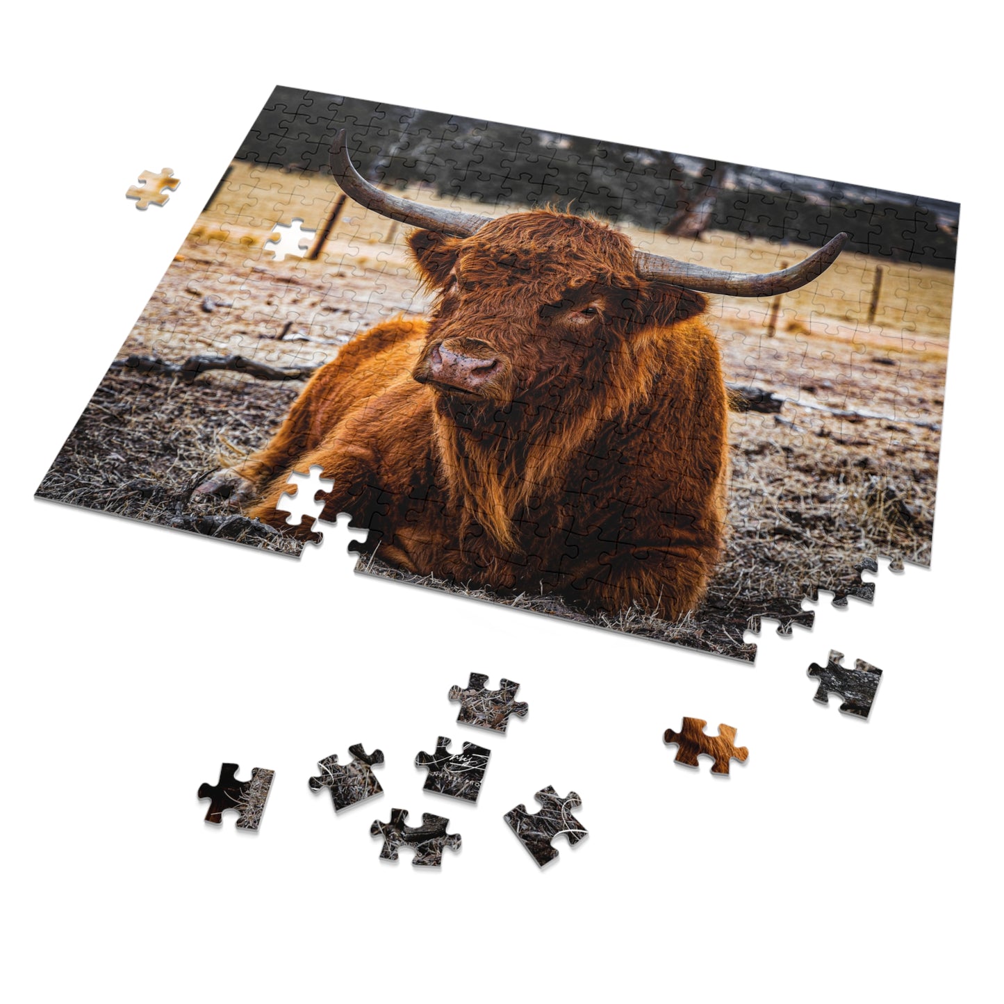 Scottish Highland Cattle Puzzle with Tin