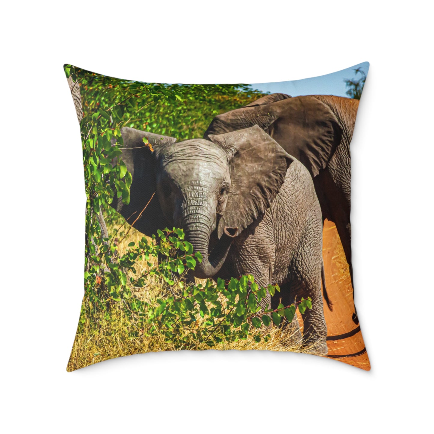 Young Elephant Pillow 26" × 26"