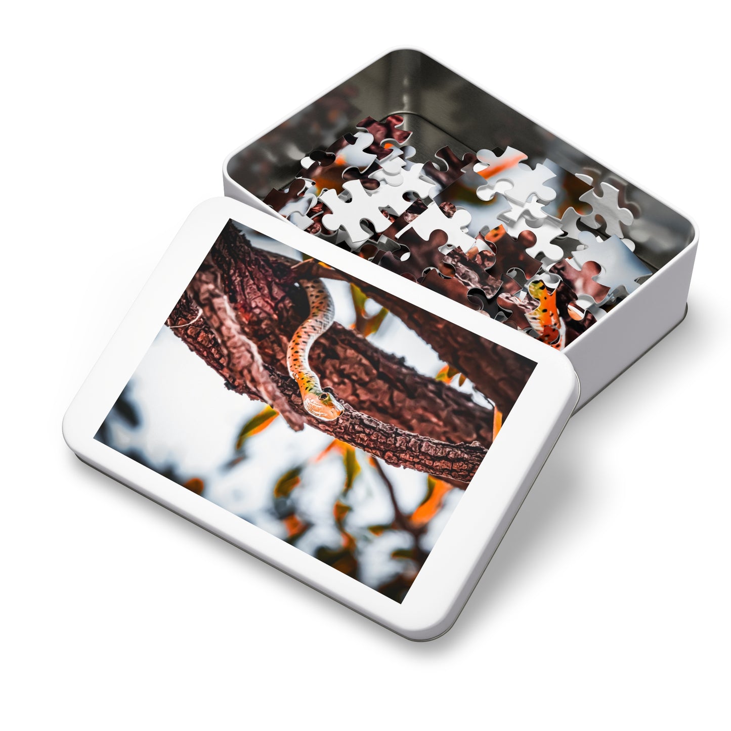 Spotted Bush Snake Puzzle with Tin