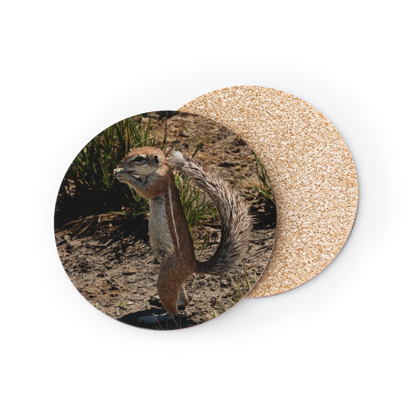 Ground Squirrel Coasters Round 3.7" x 3.7" 1pc