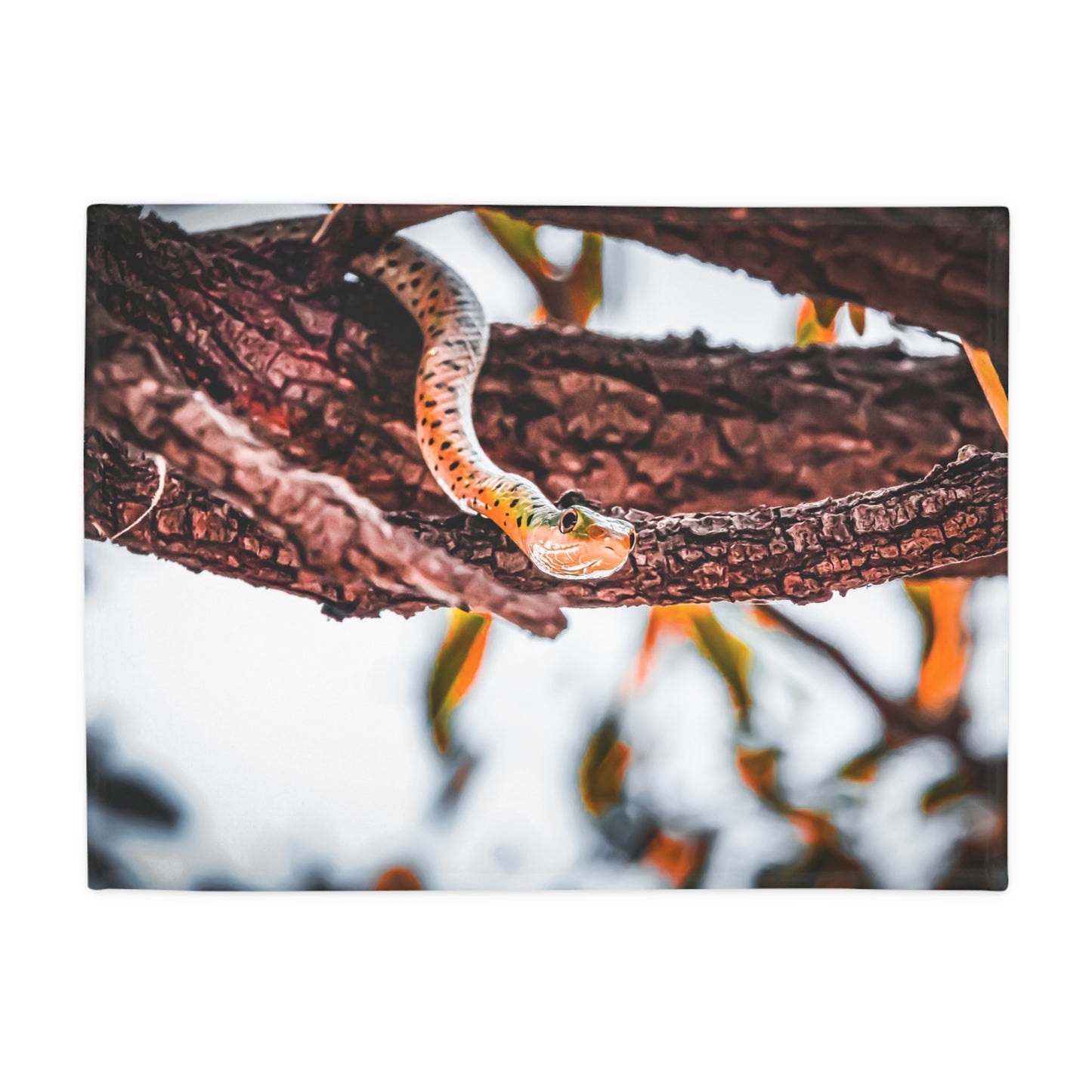 Spotted Bush Snake Blanket 30" × 40"