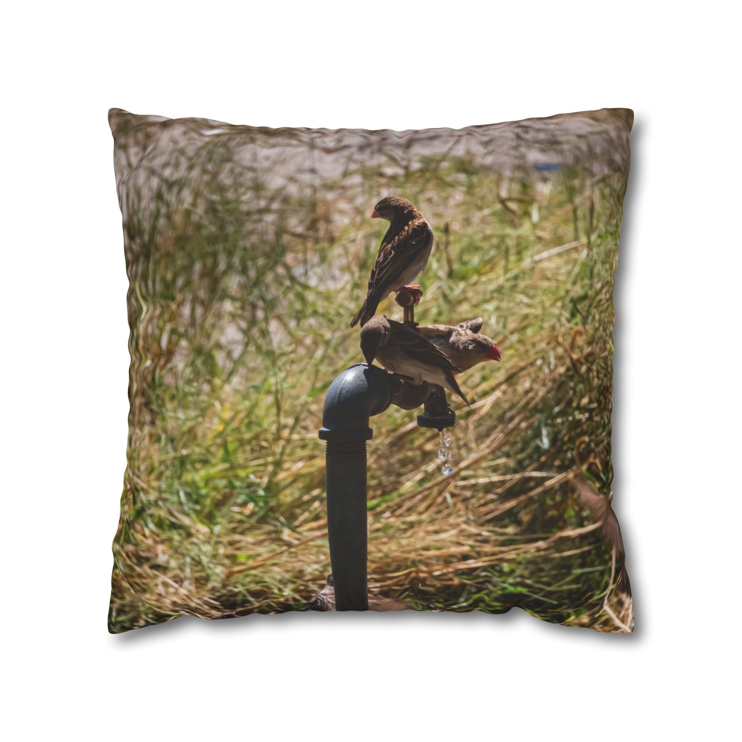 Poly Canvas Pillowcase - Birds at a Tap 20" × 20"