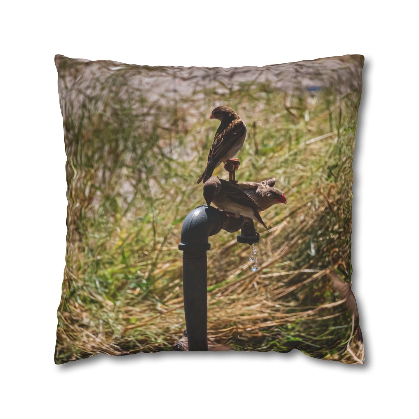 Poly Canvas Pillowcase - Birds at a Tap 24" × 24"