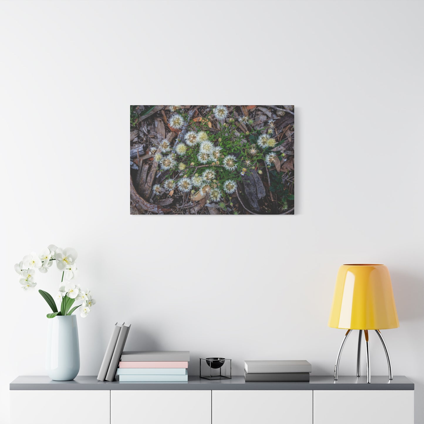 Matte Canvas, Stretched, 1.25" - Australian Wildflowers