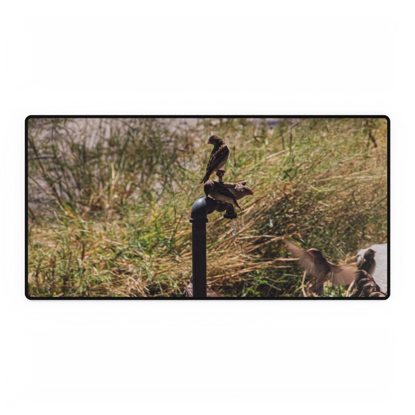 African Birds Desk Mat