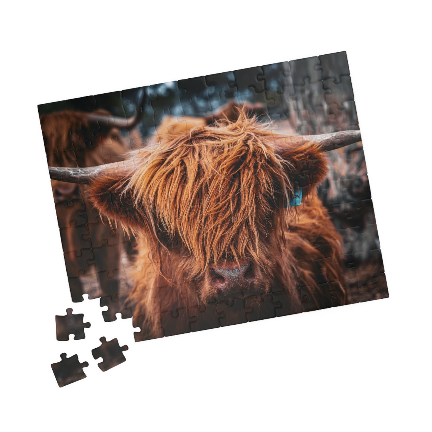 Scottish Highland Cattle Puzzle