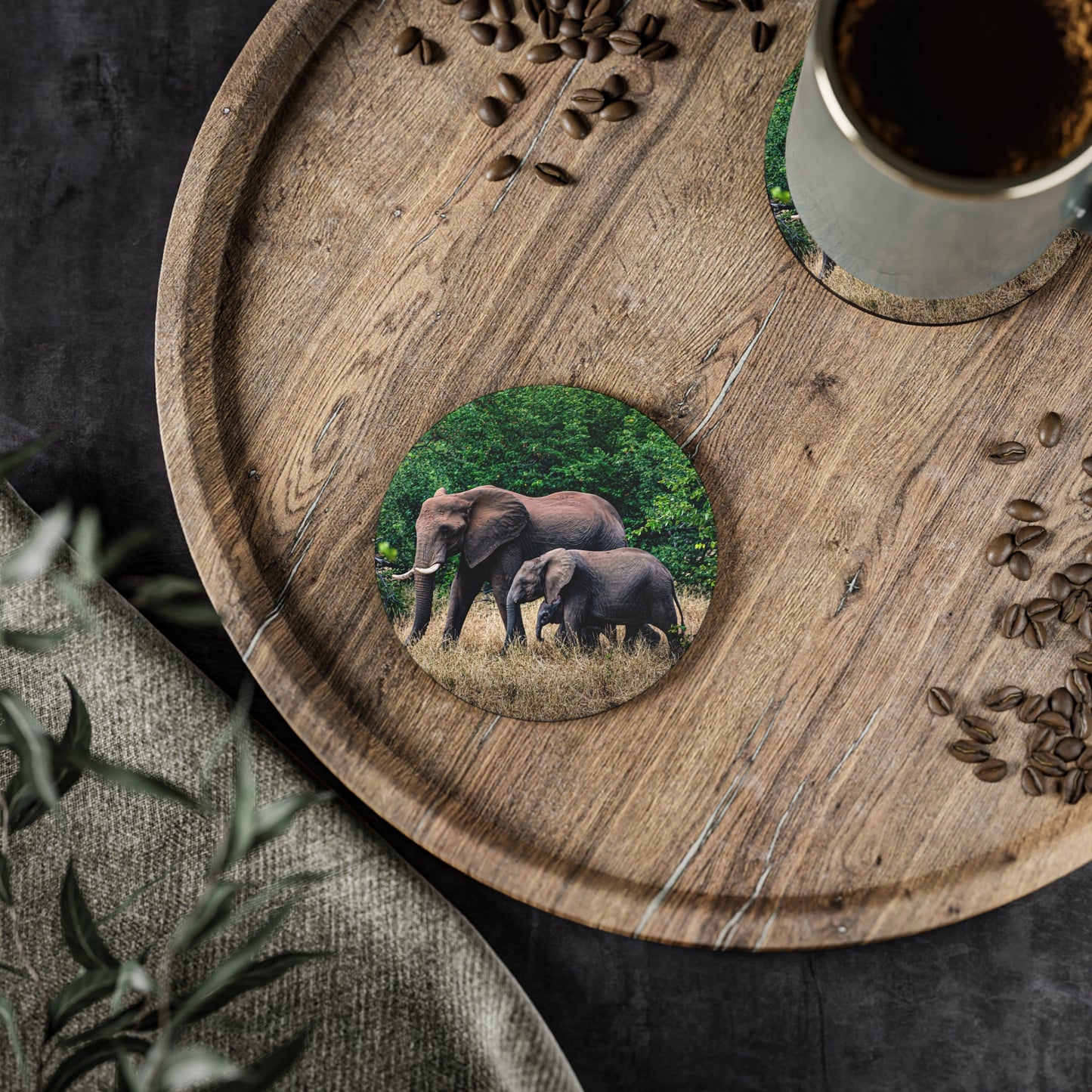 Family of Elephants Coasters