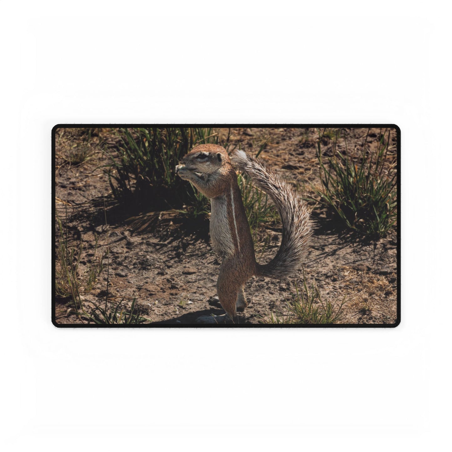 Ground Squirrel Desk Mats