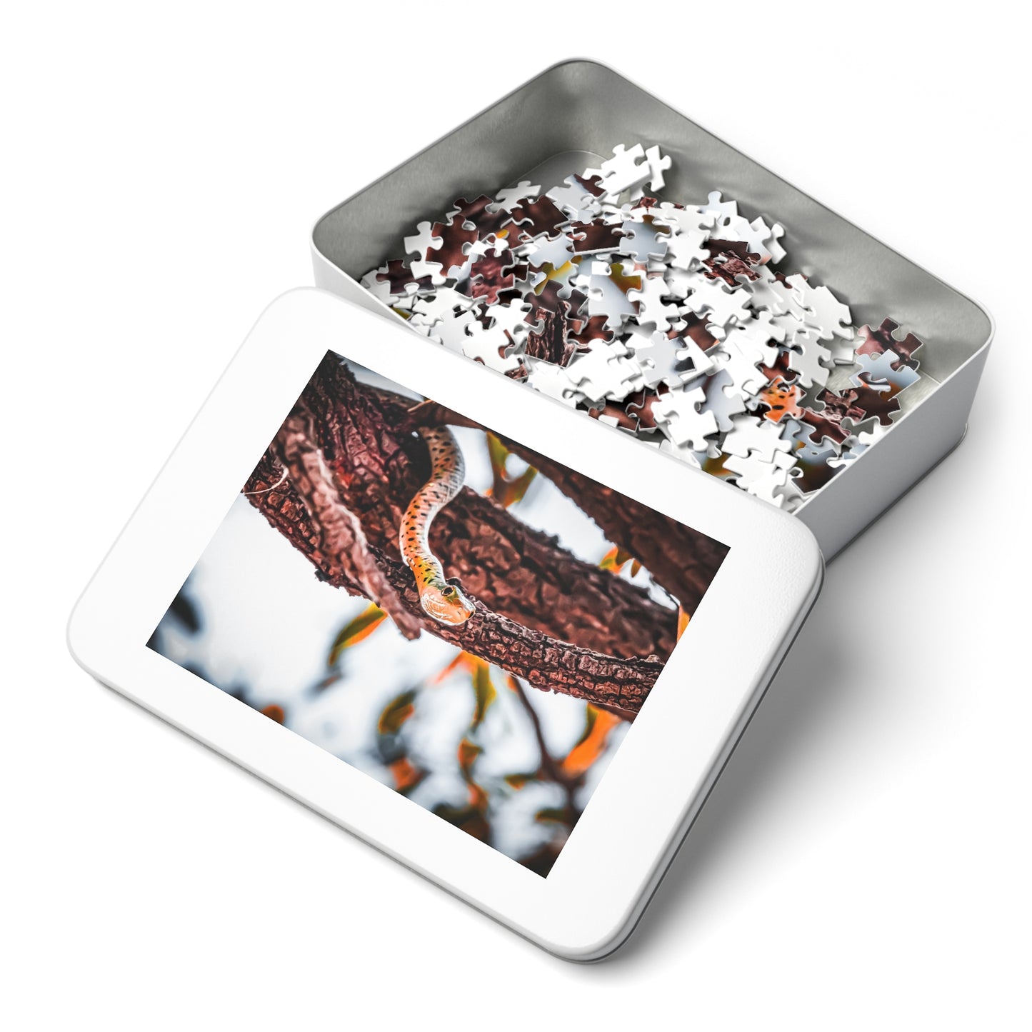 Spotted Bush Snake Puzzle with Tin