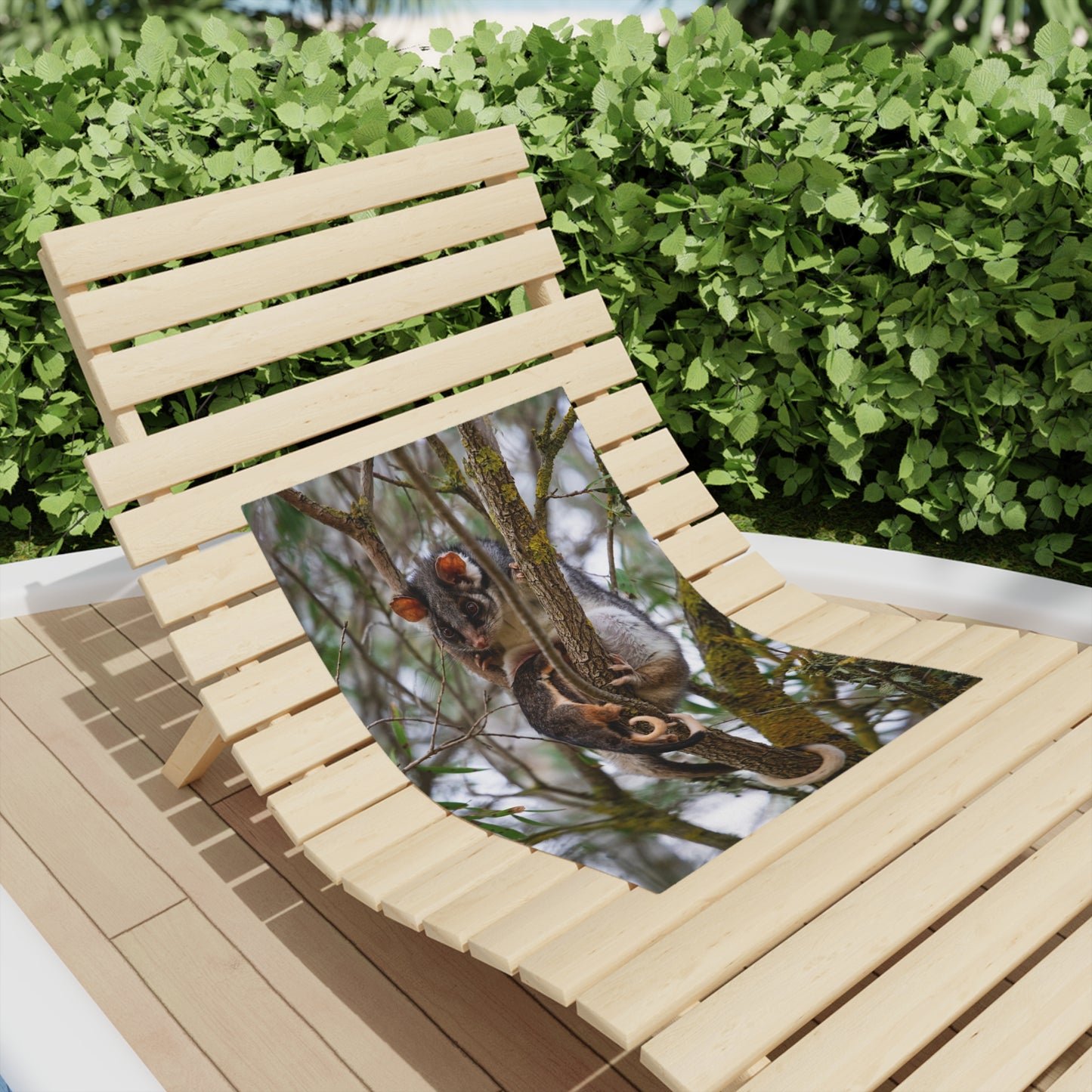 Ring-tailed Possum Beach Towels
