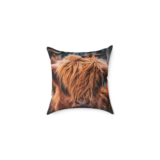 Highland Cattle Pillow 16" × 16"
