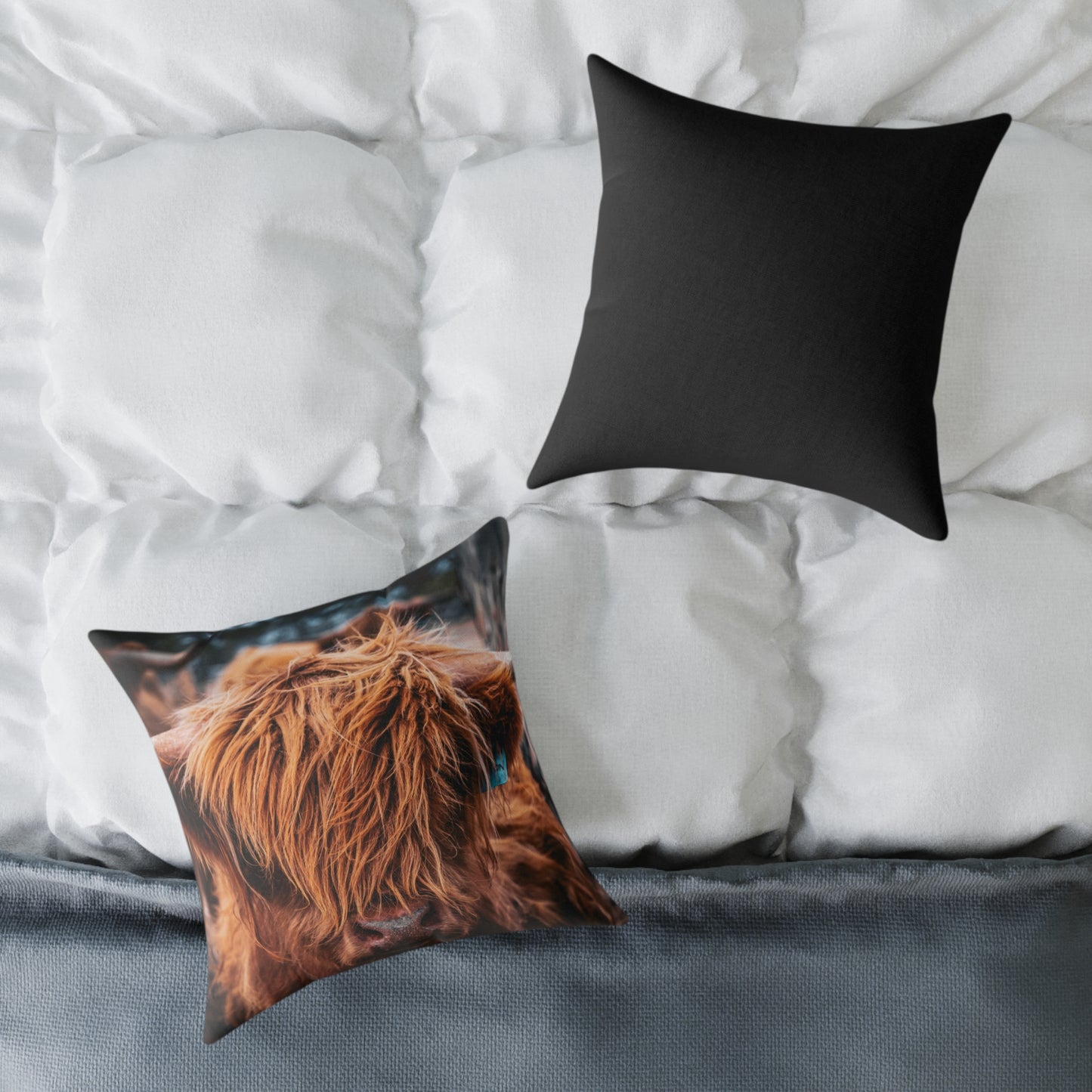 Highland Cattle Pillow