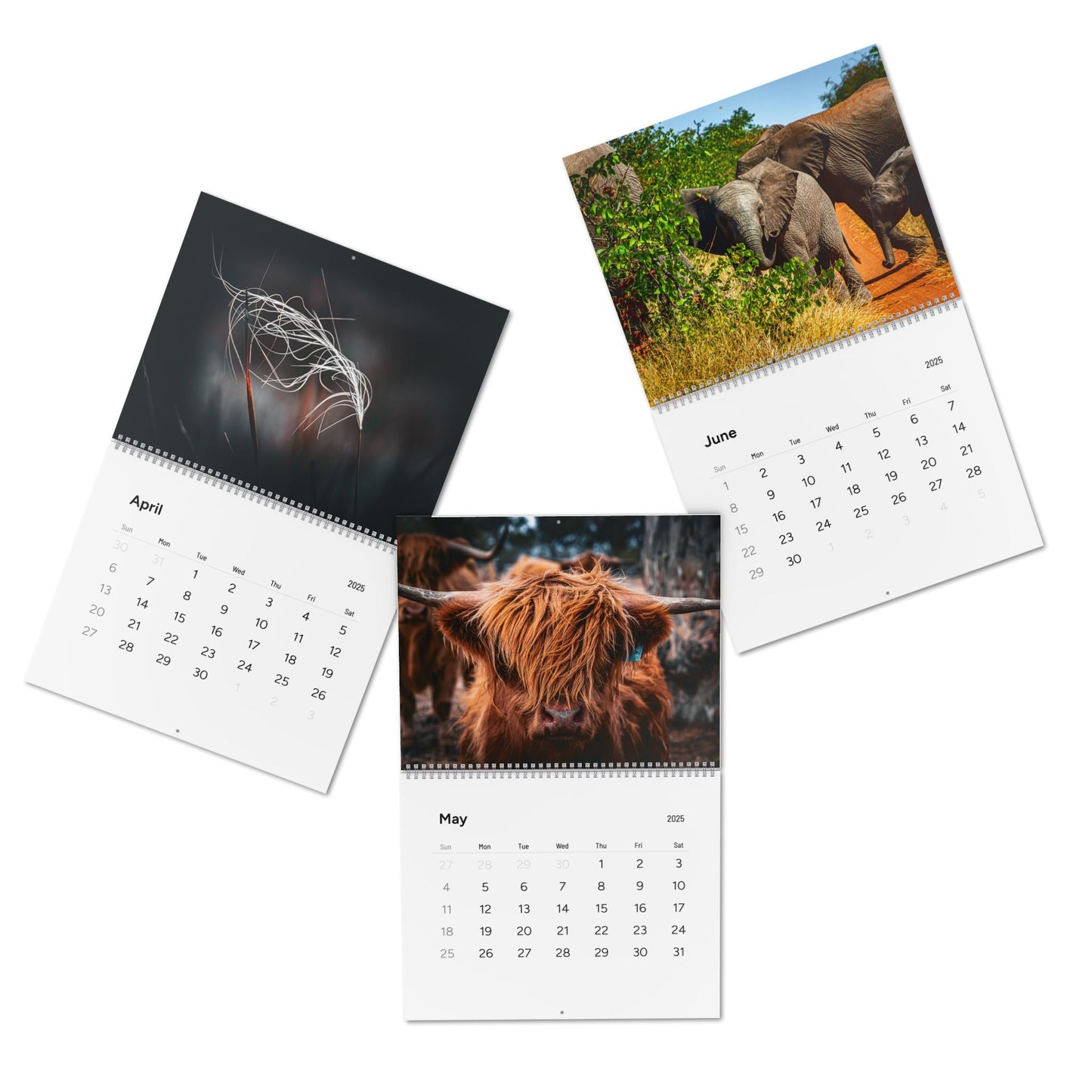 2025 Nature Wildlife Wall Calendar