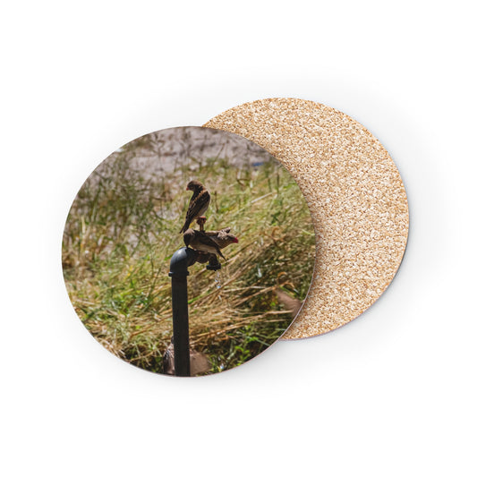 African Birds Coasters Round 3.7" x 3.7" 1pc