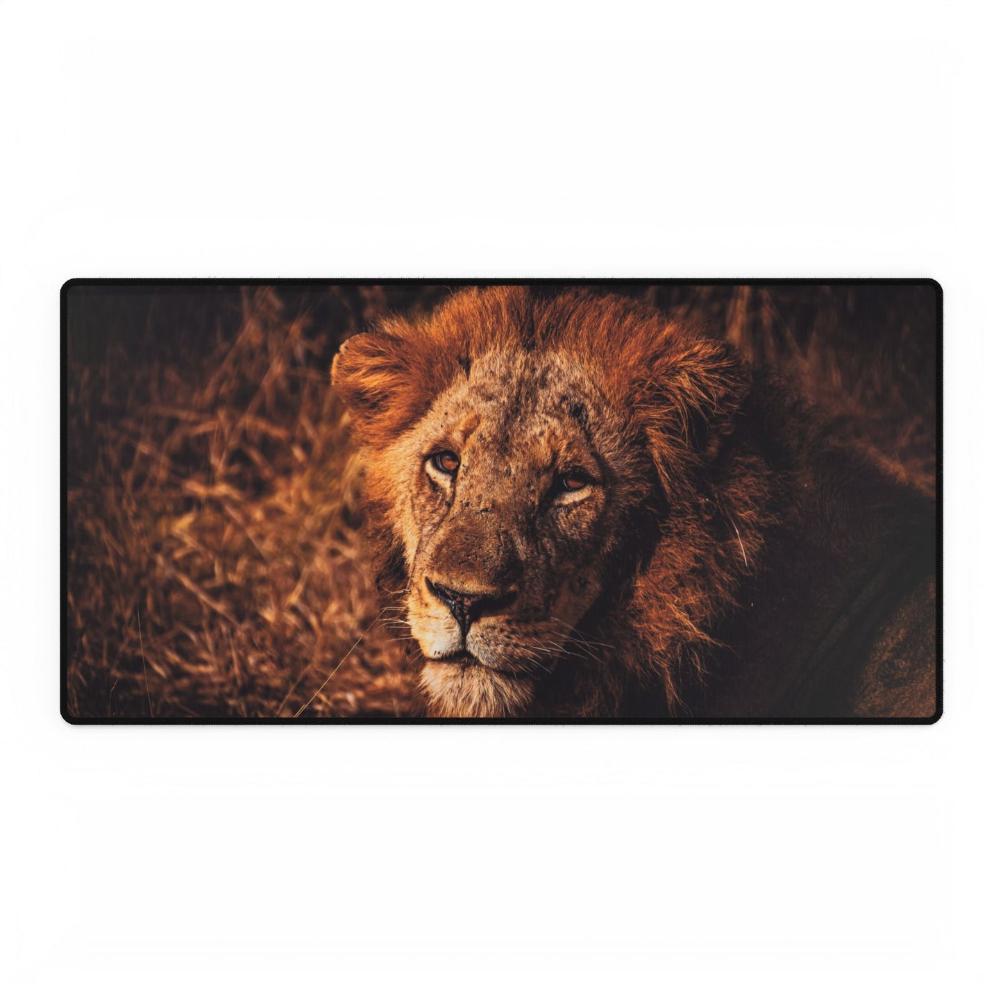 Majestic Old Lion Desk Mats