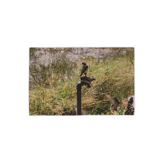 African Birds Beach Towel 18" x 27"