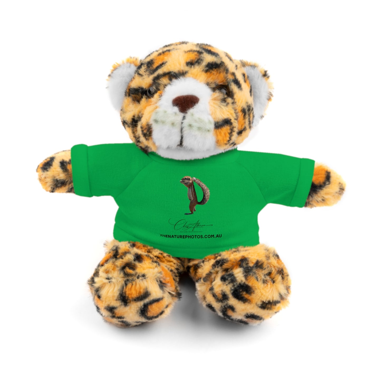 Teddy Jaguar with Tee Irish Green Jaguar 8"