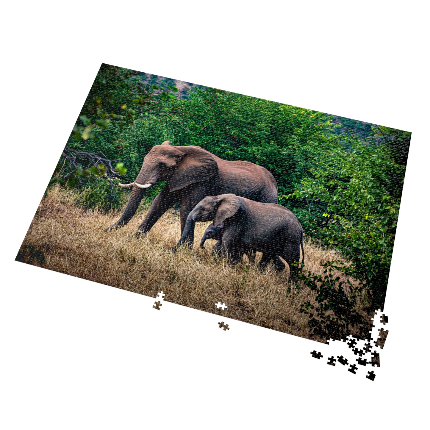 Jigsaw Puzzle (30, 110, 252, 500, 1000, 2000 Piece) - Elephant Family 40" x 28" (2000 pcs)