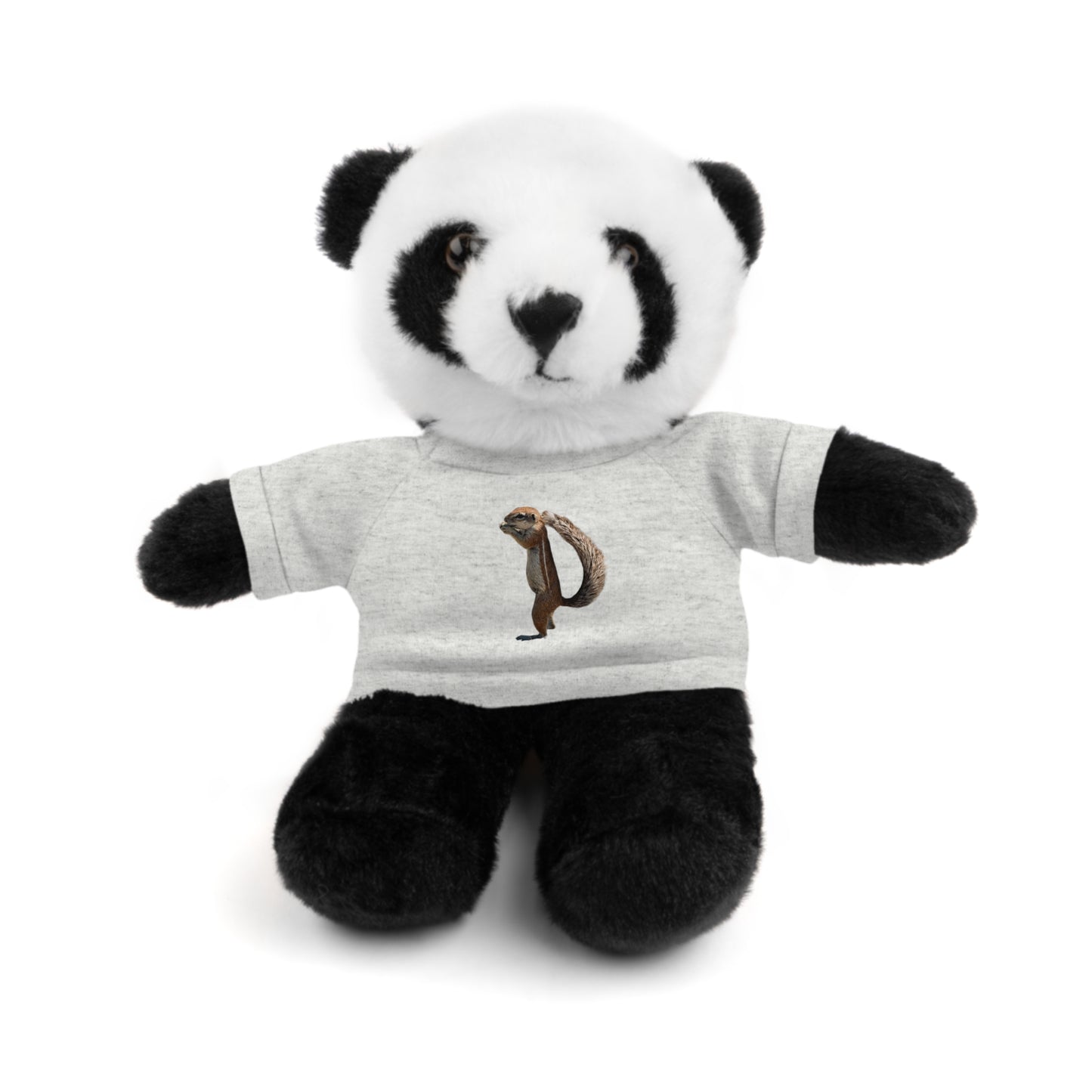 Teddy Bear with Tee