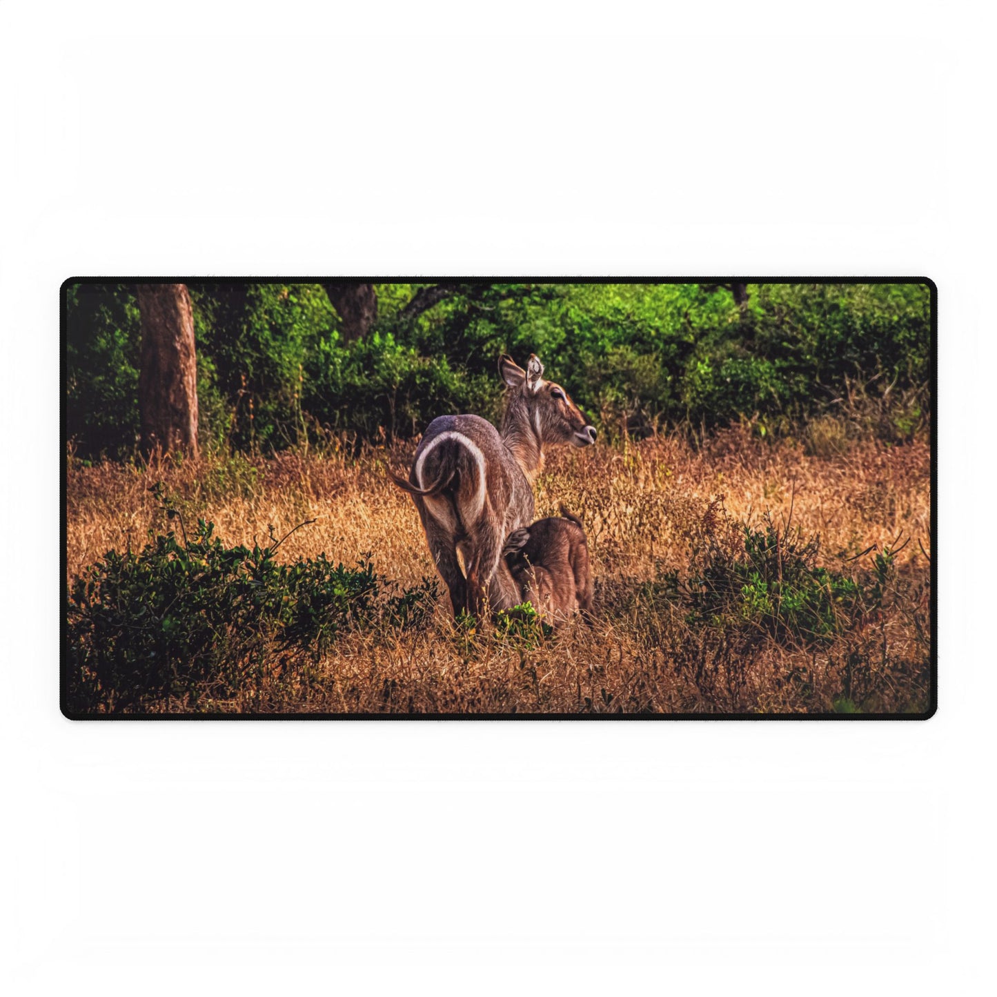 Waterbuck Baby Animal Desk Mat