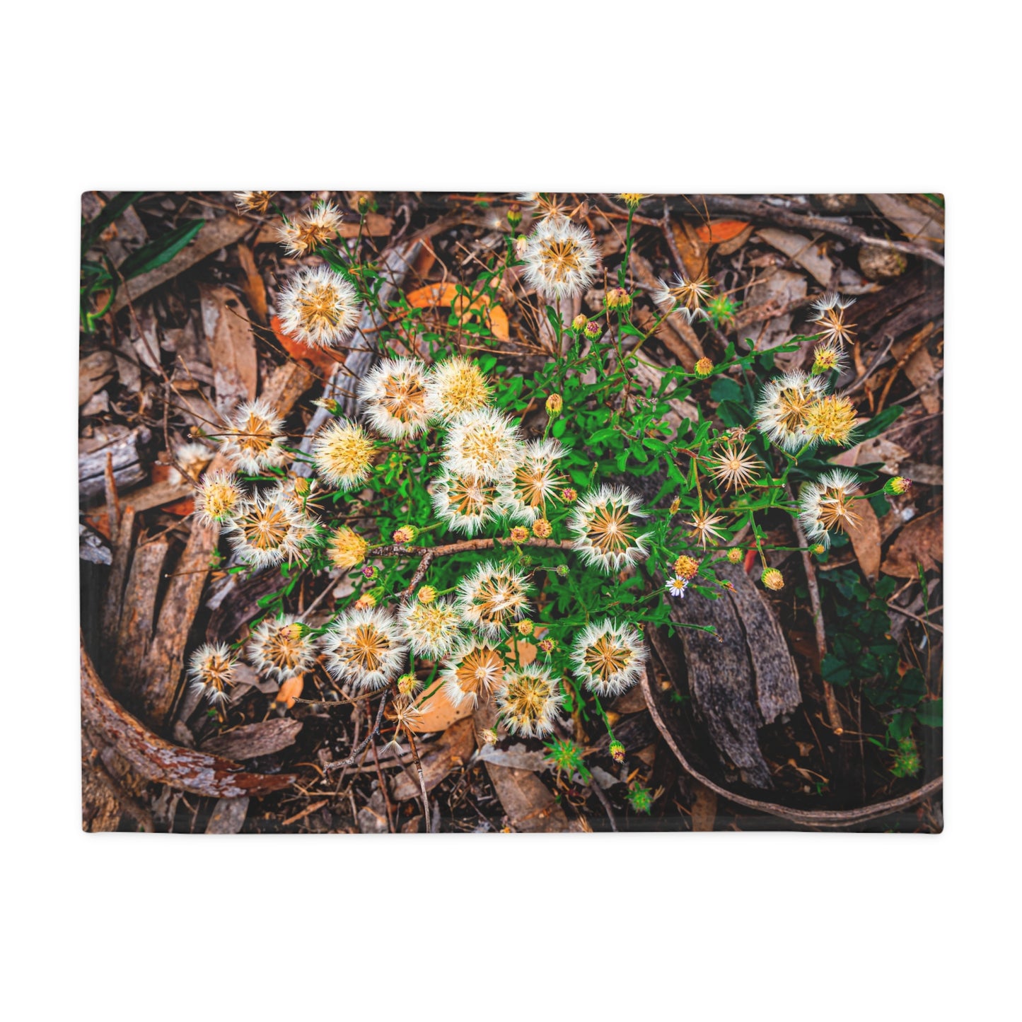 Australian Wildflower Blanket 30" × 40"
