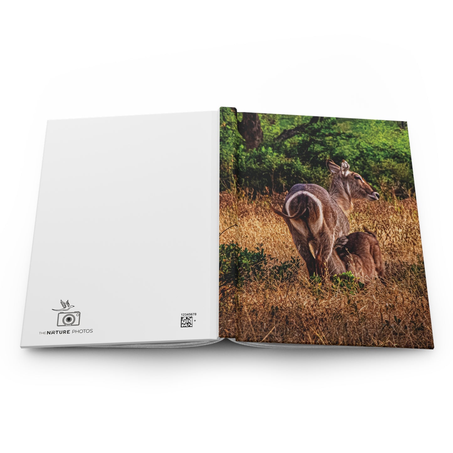Waterbuck Baby Animal Journal