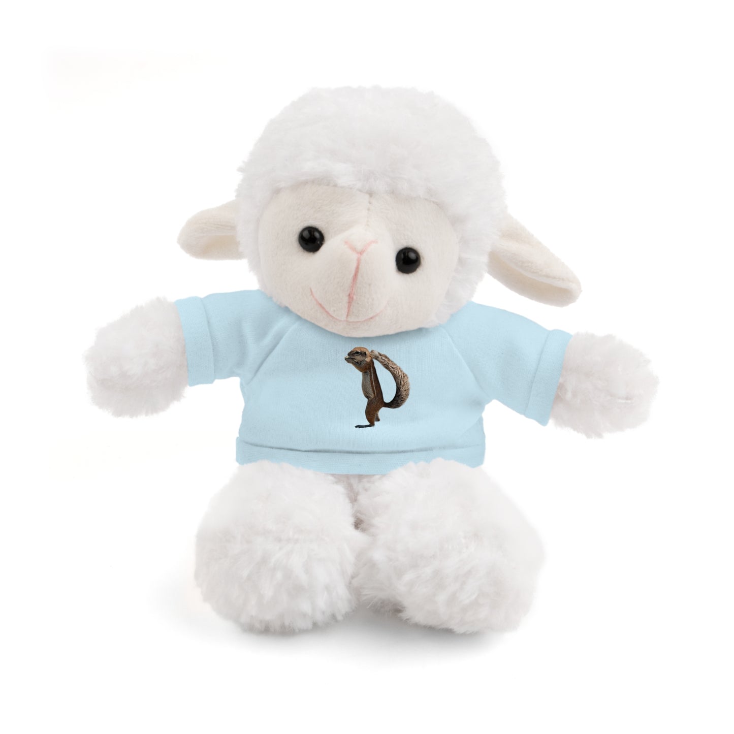Teddy Bear with Tee
