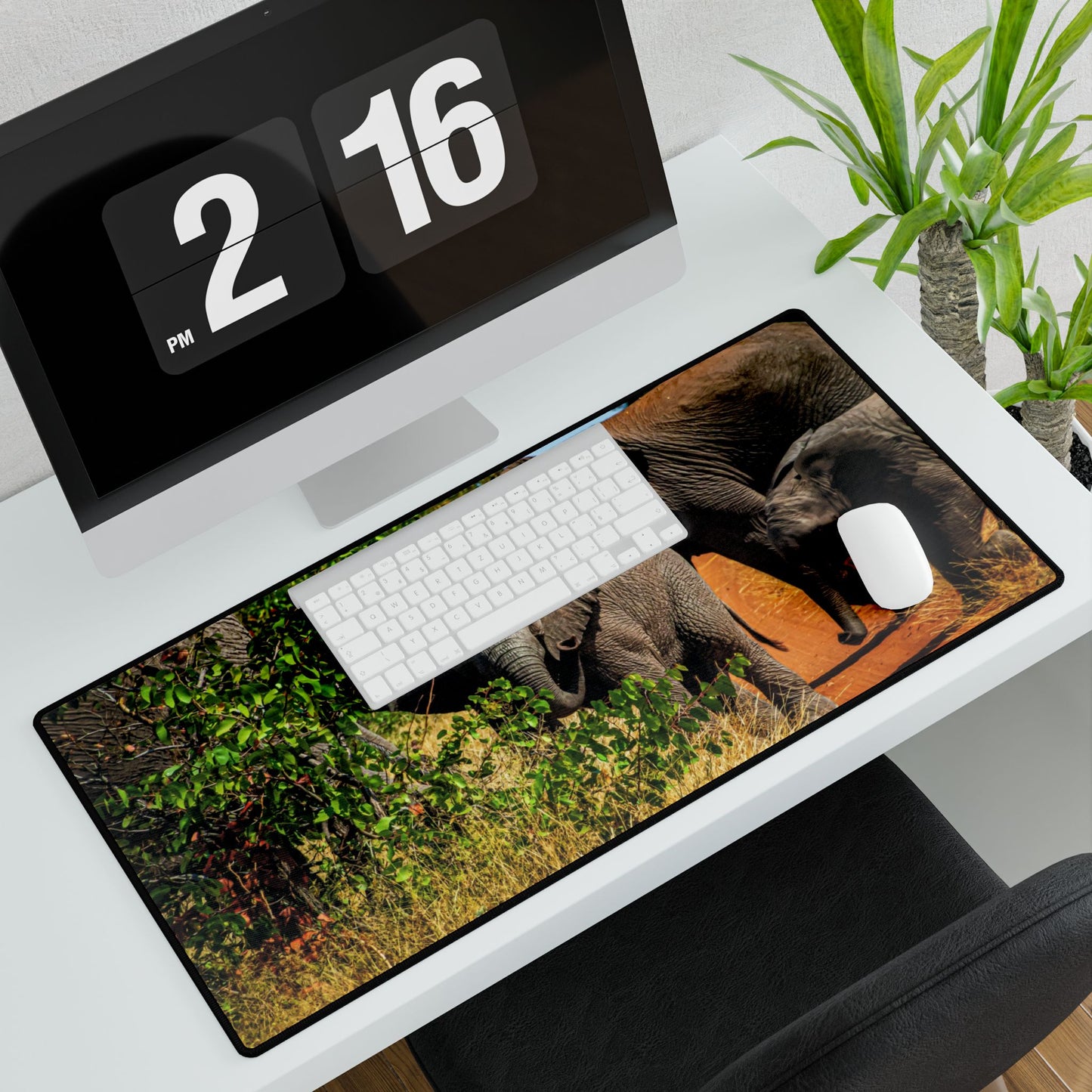 Young Elephant Desk Mats