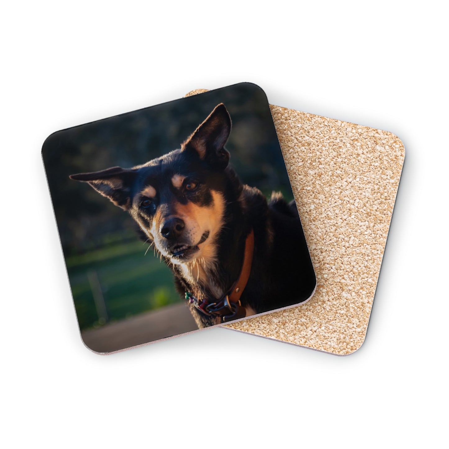 Australian Kelpie Coasters