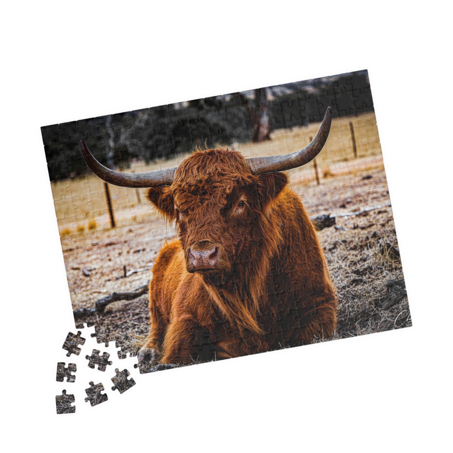 Scottish Highland Cattle Puzzle