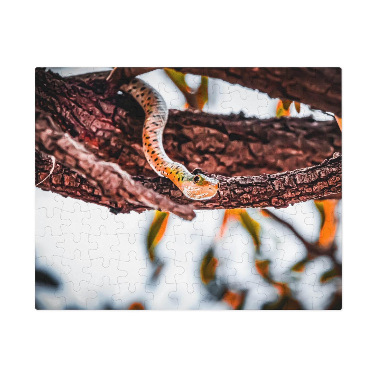 Spotted Bush Snake Puzzle with Tin 10" × 8" (110 pcs)