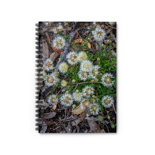 Spiral Notebook - Ruled Line - Australian Wildflowers