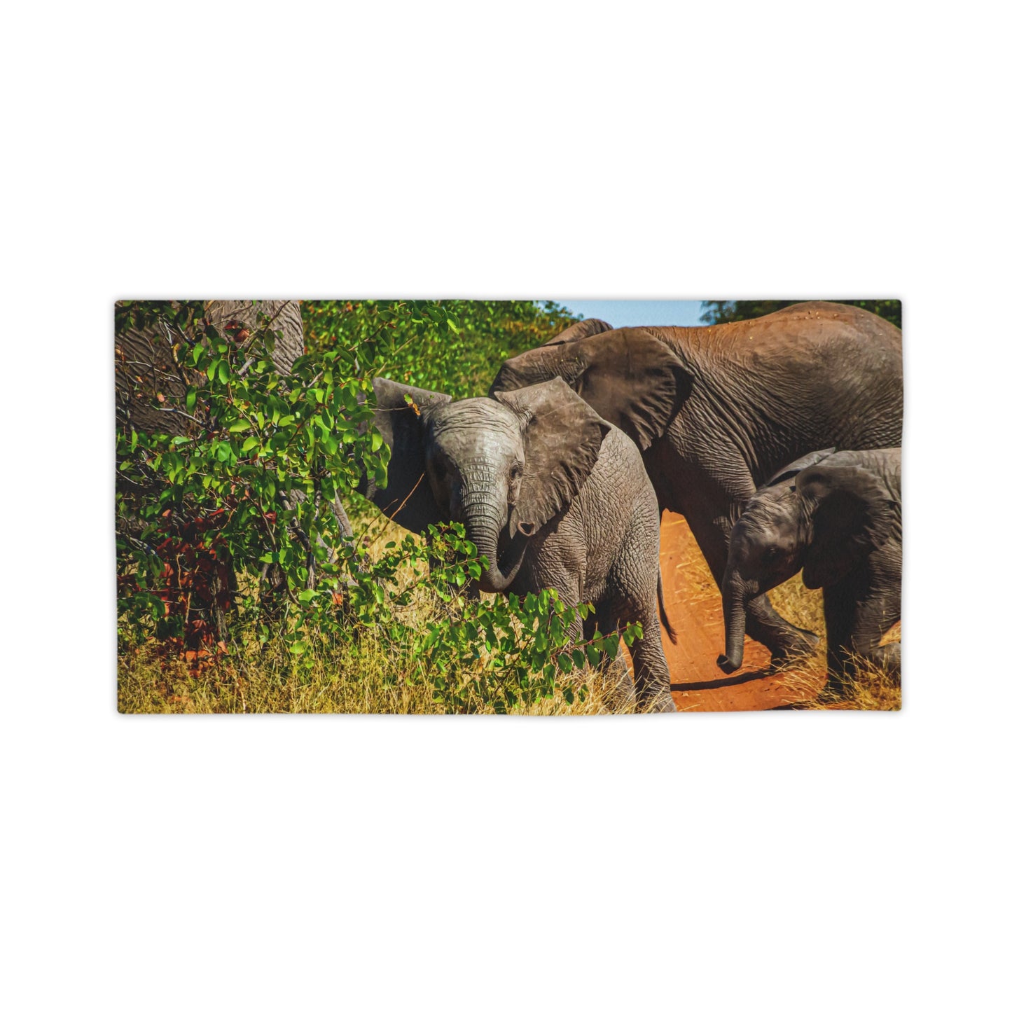 African Elephant Beach Towels