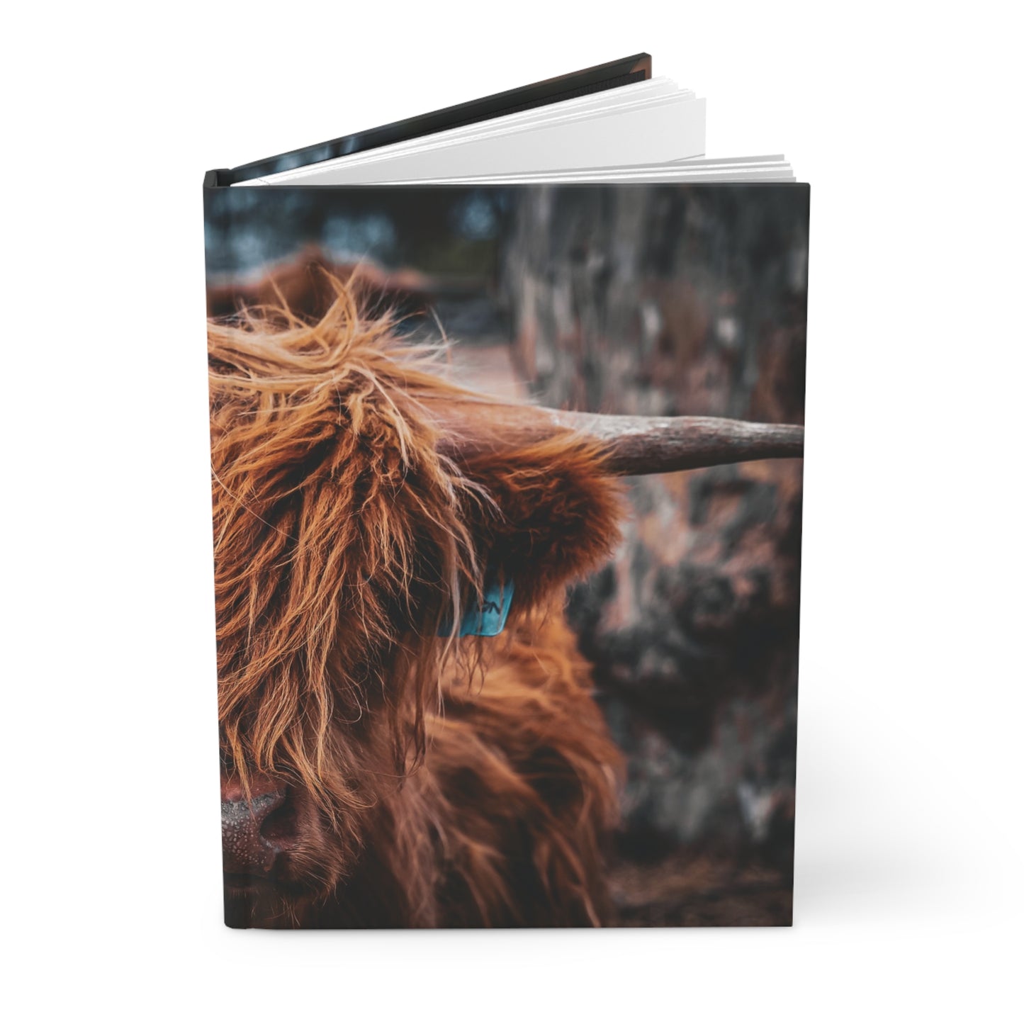 Highland Cattle Journal