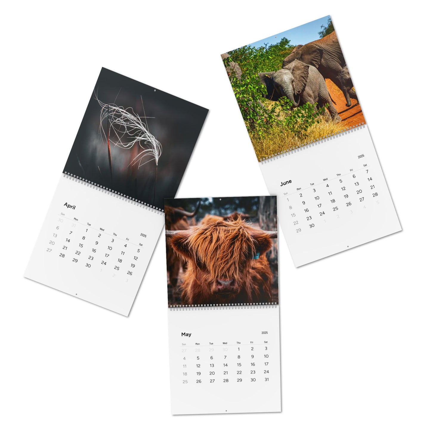 2025 Nature Wildlife Wall Calendar