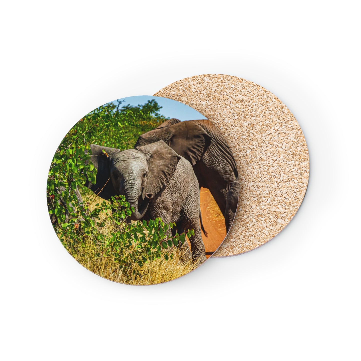 Elephant Coasters For Drinks