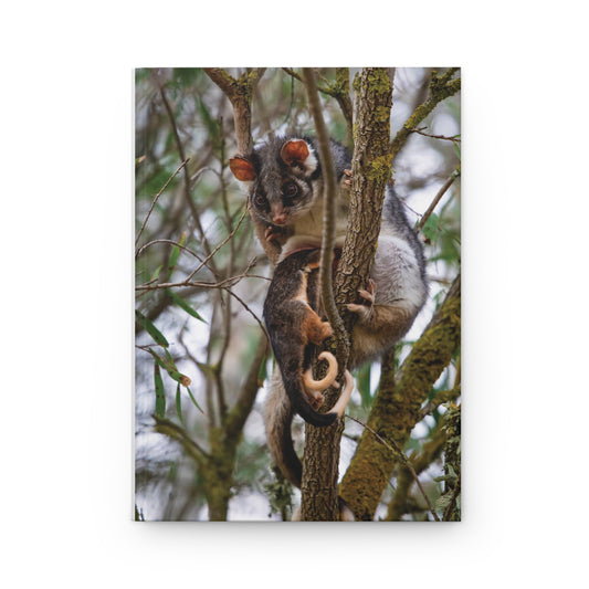 Ring-Tail Possum Journal