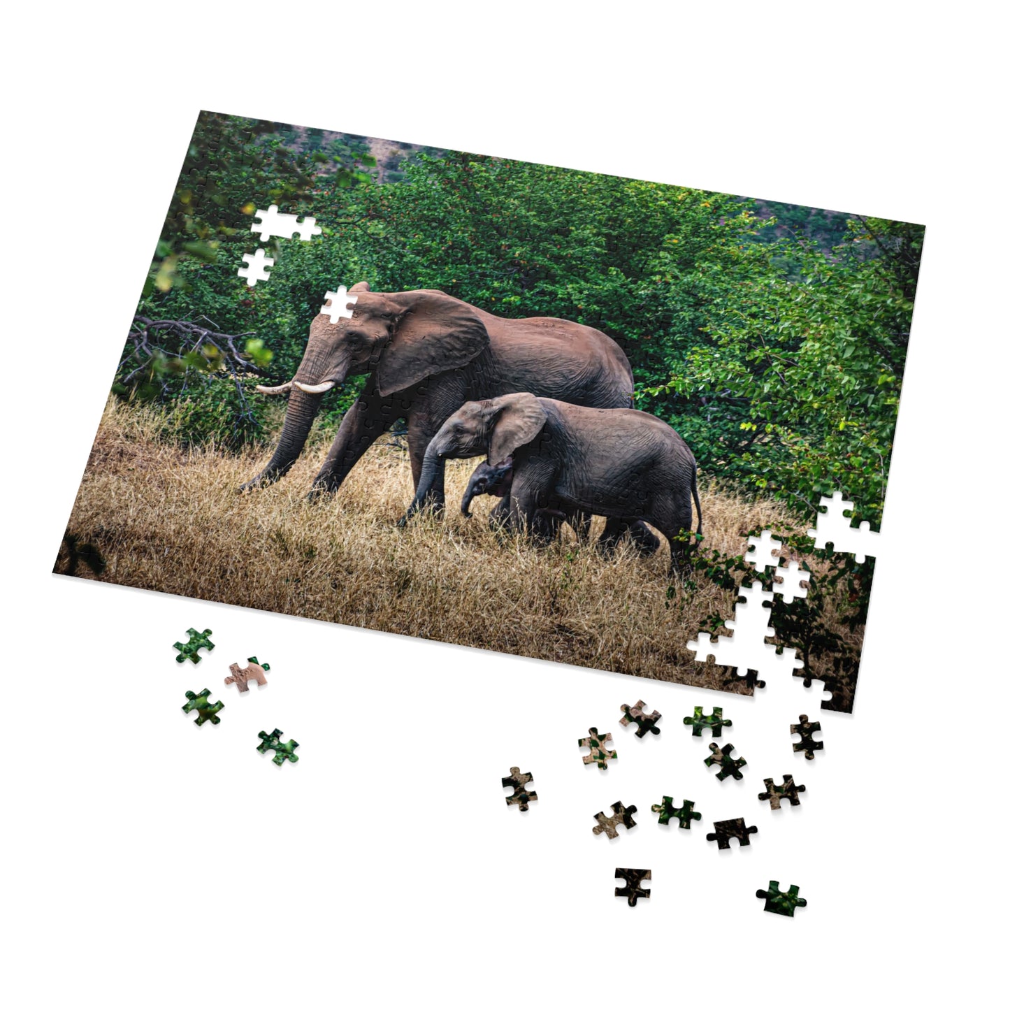 Jigsaw Puzzle (30, 110, 252, 500, 1000, 2000 Piece) - Elephant Family