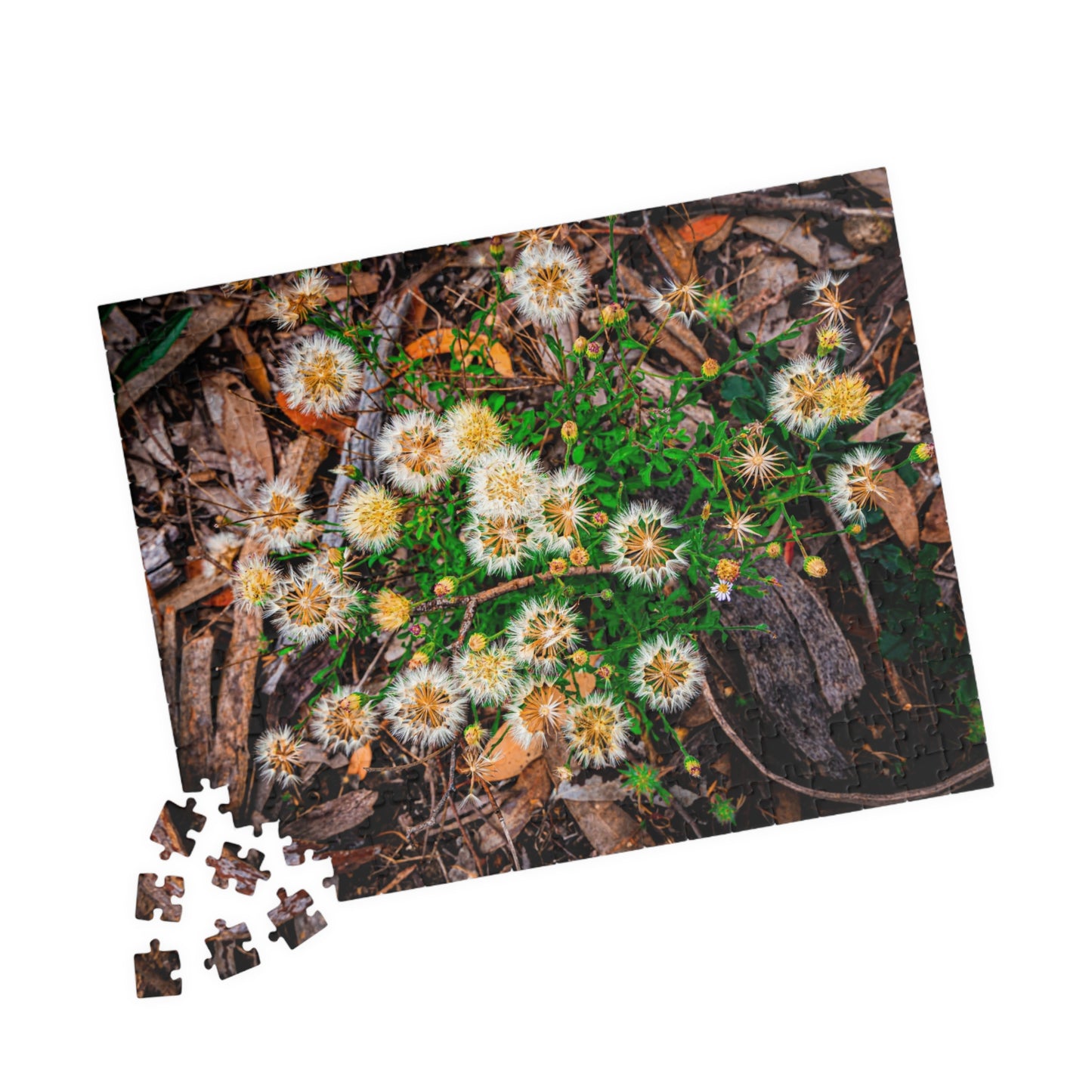 Australian Wildflower Jigsaw Puzzle