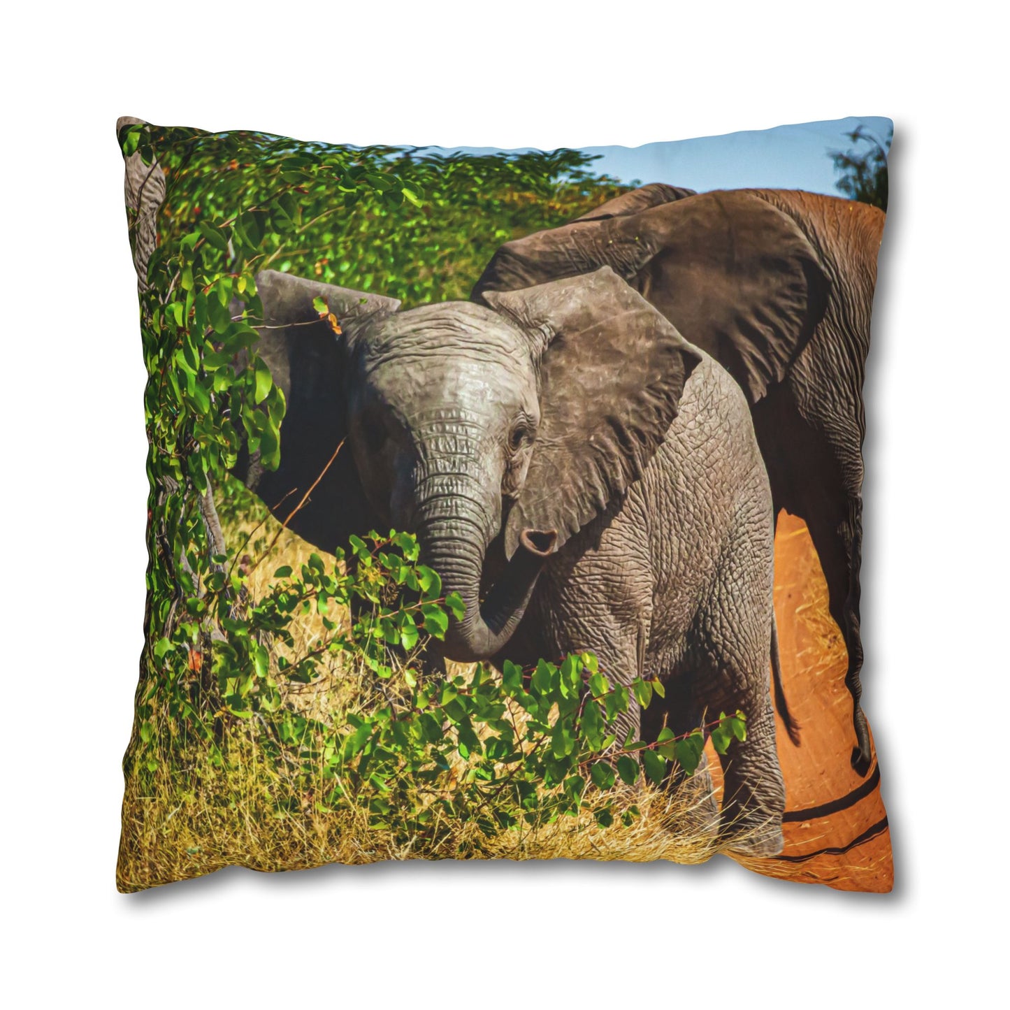 Poly Canvas Pillowcase - Young Elephant
