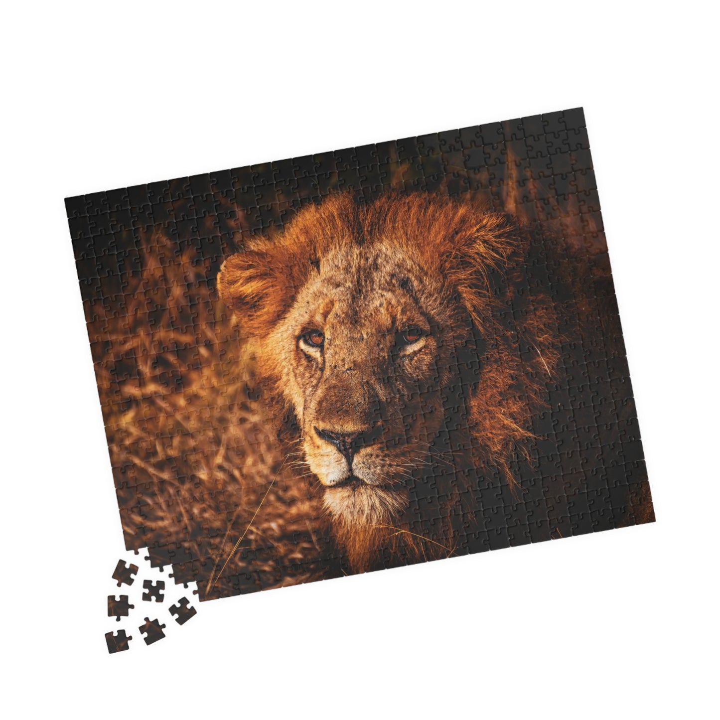 Majestic Old Lion Jigsaw Puzzle
