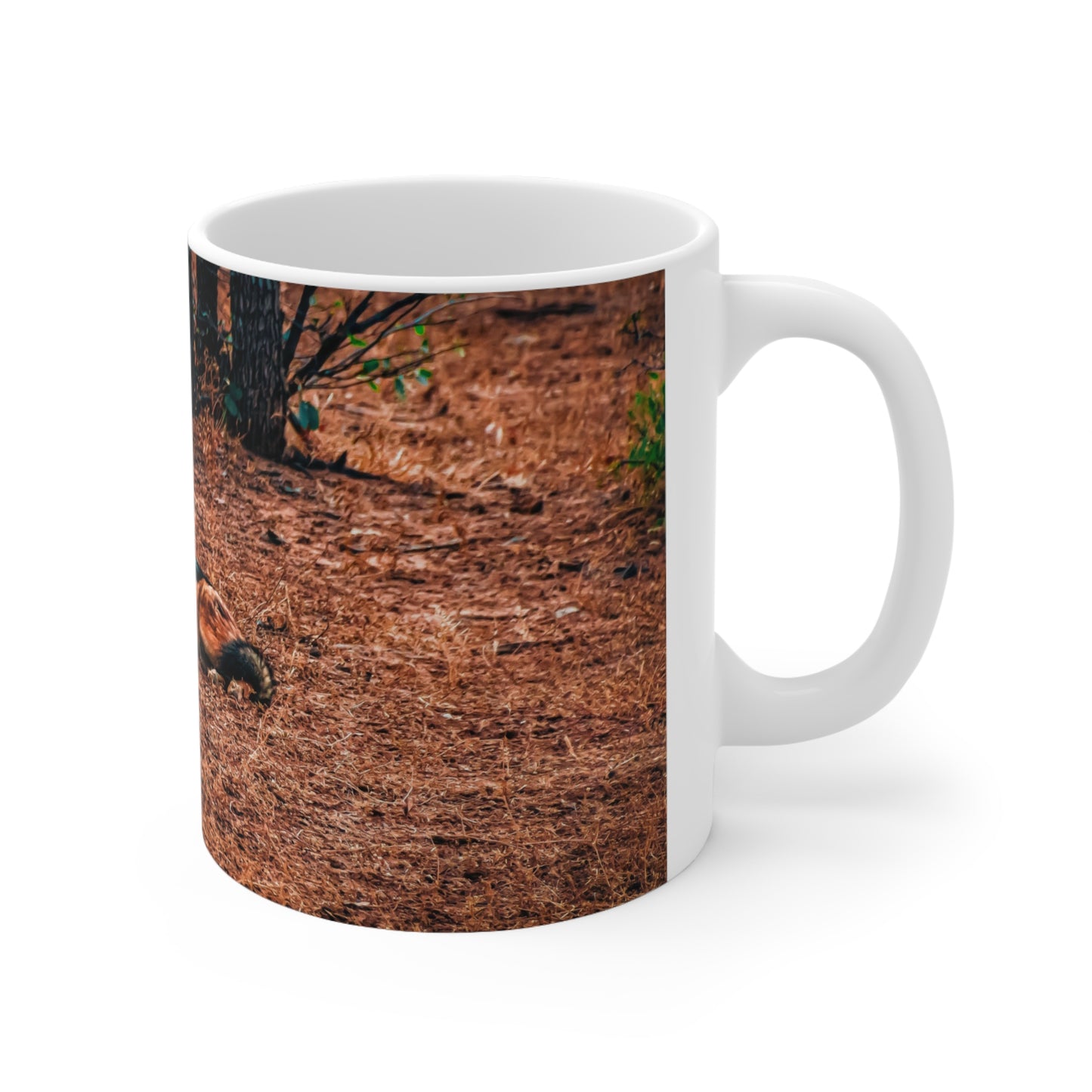 Black Backed Jackal Mug