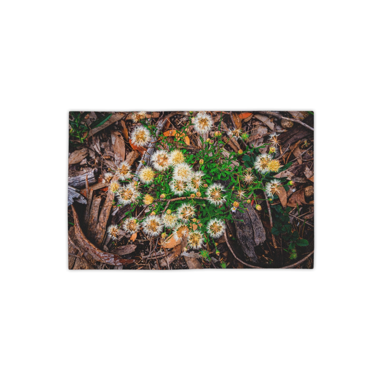 Australian Wildflower Beach Towels