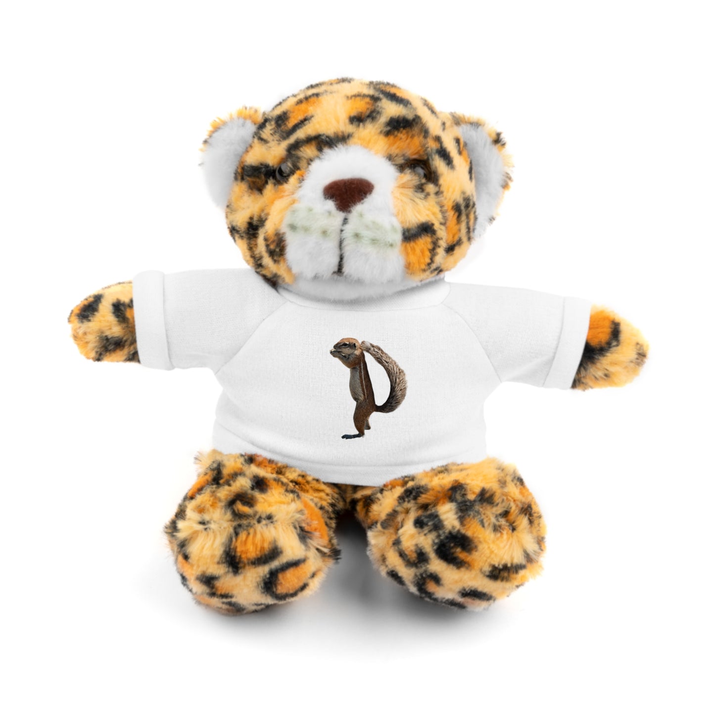 Teddy Bear with Tee