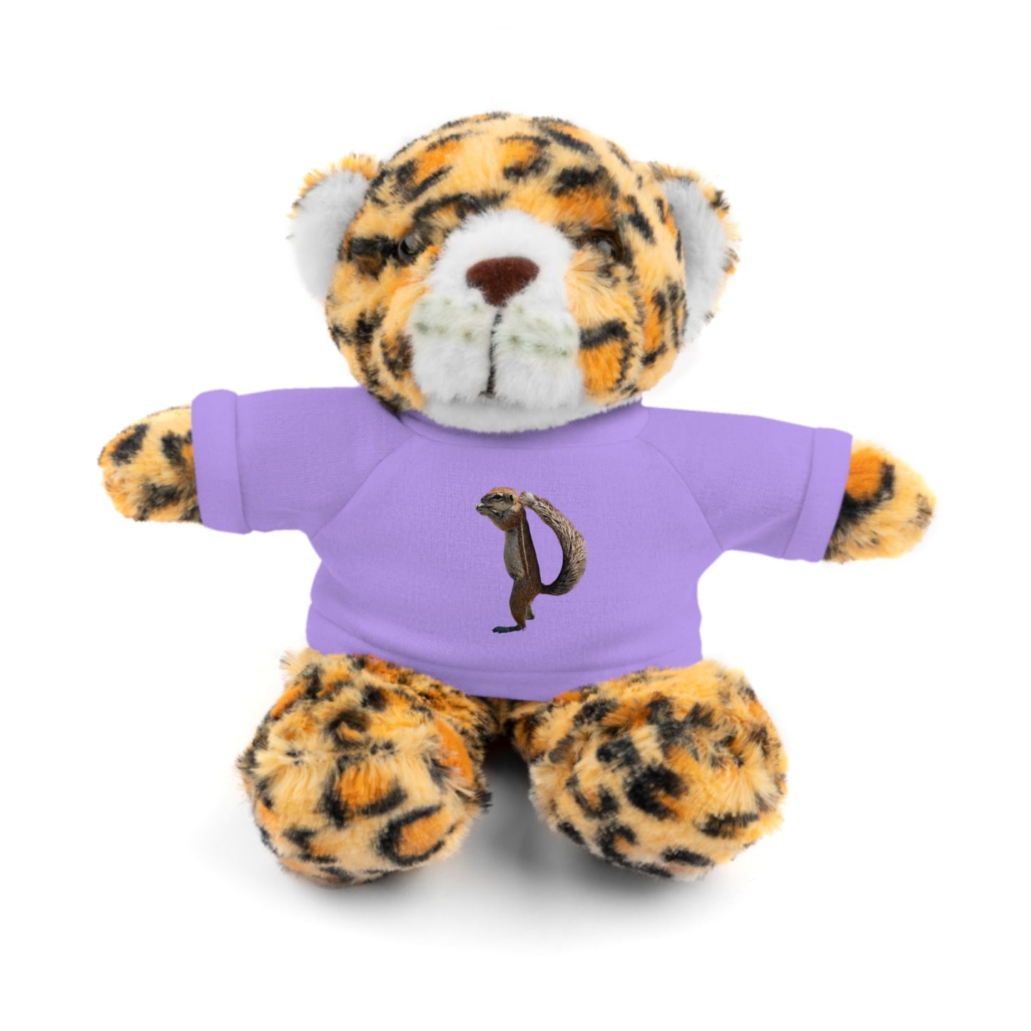 Teddy Bear with Tee