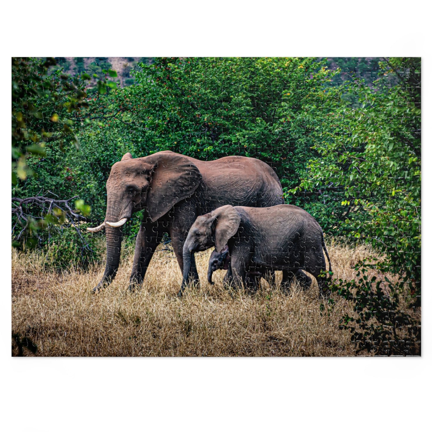 Jigsaw Puzzle (30, 110, 252, 500, 1000, 2000 Piece) - Elephant Family 21" × 15.5" (500 pcs)