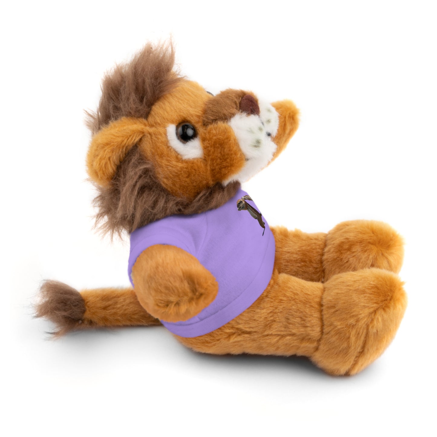 Teddy Bear with Tee
