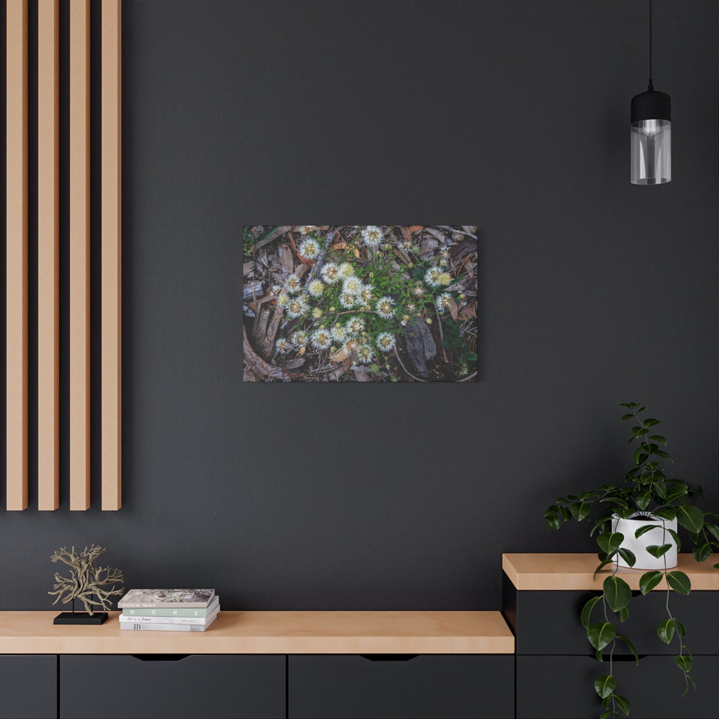 Matte Canvas, Stretched, 1.25" - Australian Wildflowers