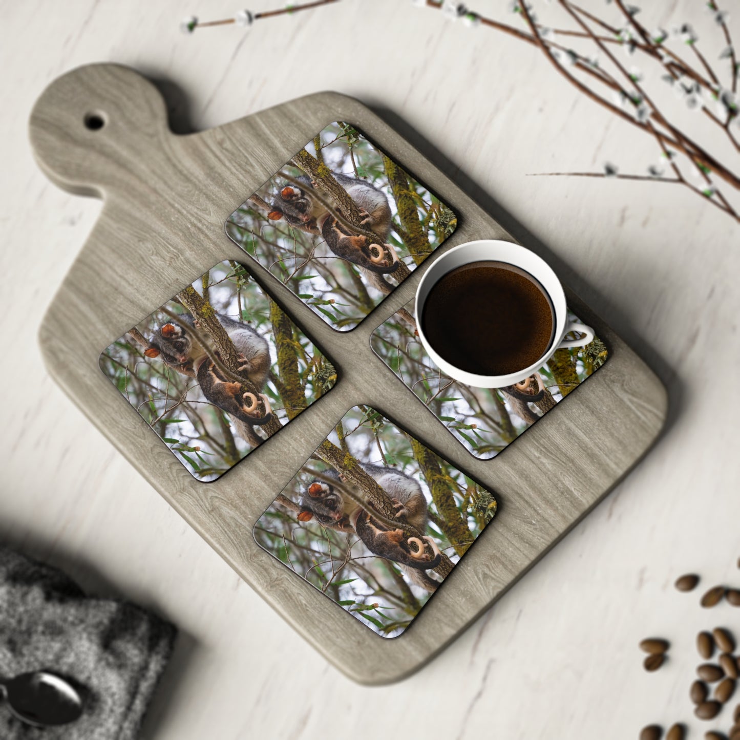 Ring-Tailed Possum Coasters