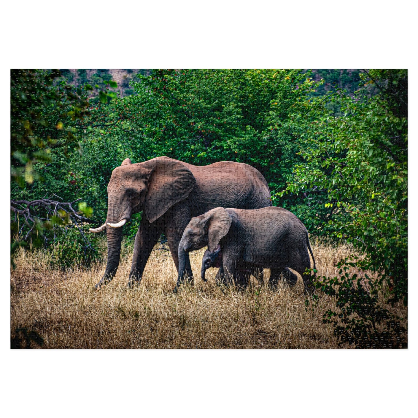 Jigsaw Puzzle (30, 110, 252, 500, 1000, 2000 Piece) - Elephant Family